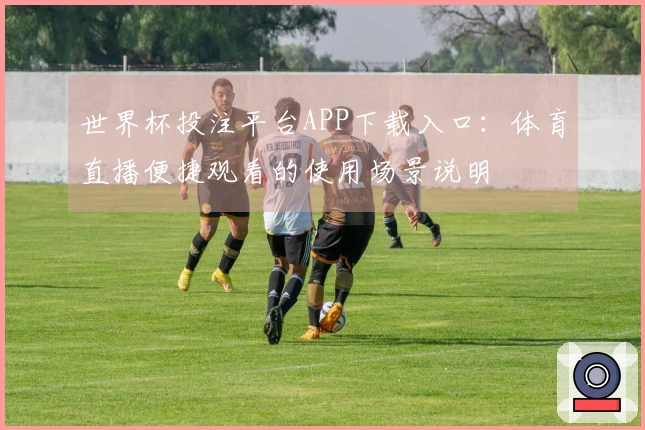 世界杯投注平台APP下载入口：体育直播便捷观看的使用场景说明