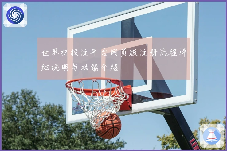 世界杯投注平台网页版注册流程详细说明与功能介绍