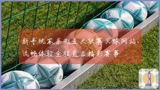 新手玩家亲测五大联赛买球网站，流畅体验全程直击精彩赛事