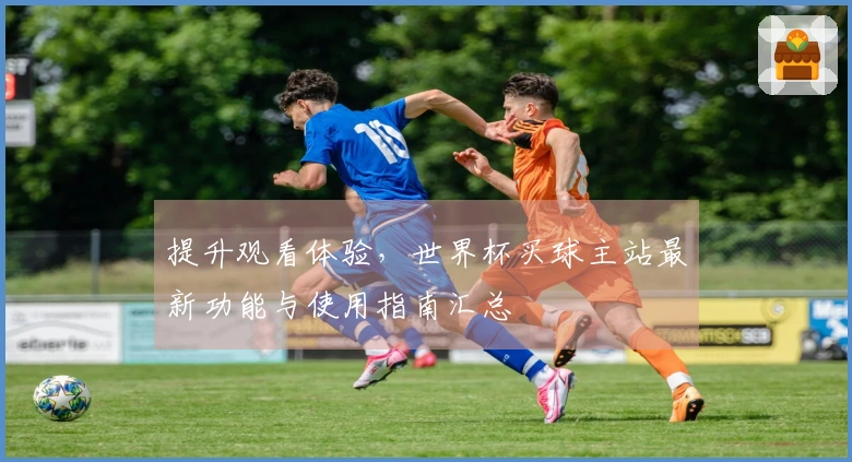 提升观看体验，世界杯买球主站最新功能与使用指南汇总