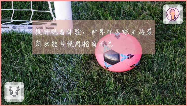 提升观看体验，世界杯买球主站最新功能与使用指南汇总