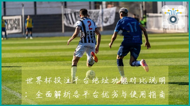 世界杯投注平台地址功能对比说明：全面解析各平台优劣与使用指南