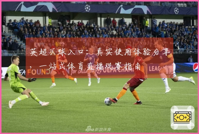 英超买球入口：真实使用体验分享，一站式体育直播观赛指南