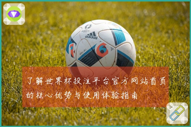 了解世界杯投注平台官方网站首页的核心优势与使用体验指南