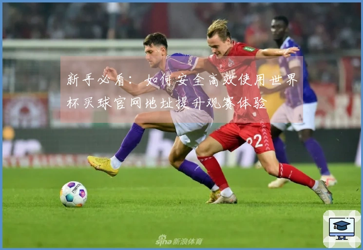 新手必看：如何安全高效使用世界杯买球官网地址提升观赛体验