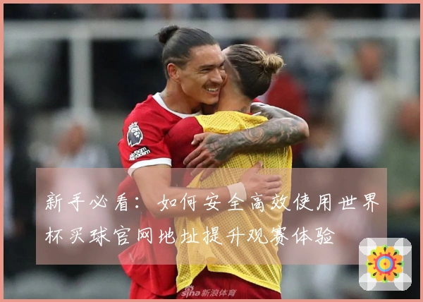 新手必看：如何安全高效使用世界杯买球官网地址提升观赛体验
