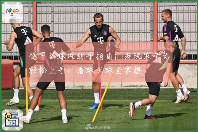 德甲买球网新手指南：老玩家带你轻松上手，看球买球全掌握