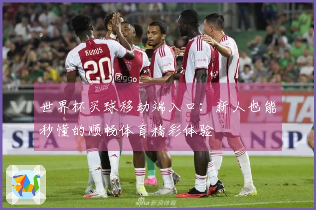 世界杯买球移动端入口：新人也能秒懂的顺畅体育精彩体验