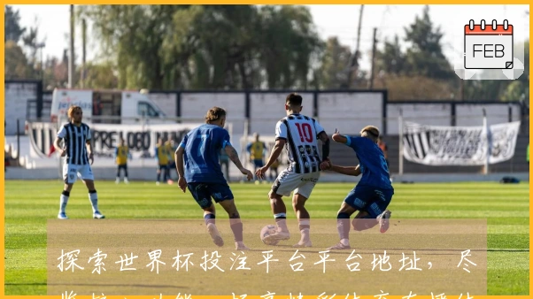 探索世界杯投注平台平台地址，尽览核心功能，畅享精彩体育直播体验