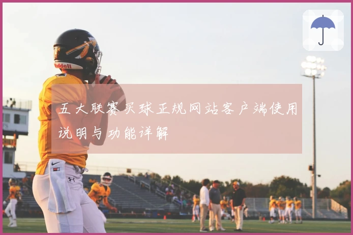 五大联赛买球正规网站客户端使用说明与功能详解